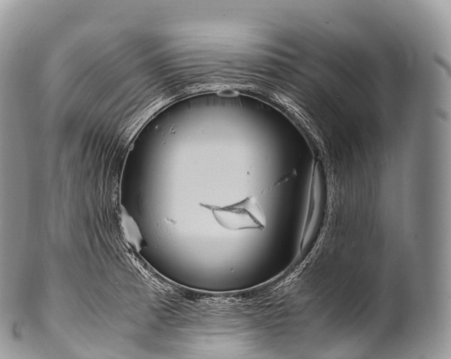 X0000100381185200806201643