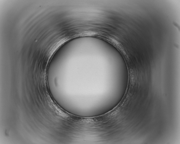 X0000100381186200806201643