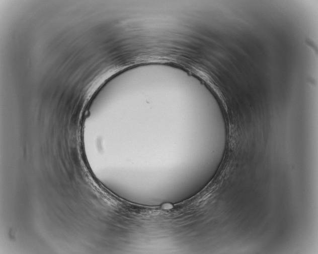 X0000100381187200806201643