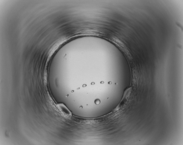 X0000100381188200806201643