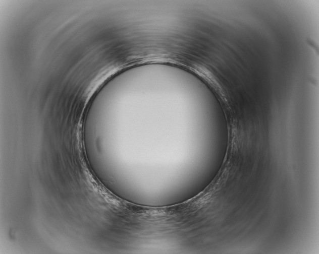 X0000100381190200806201643