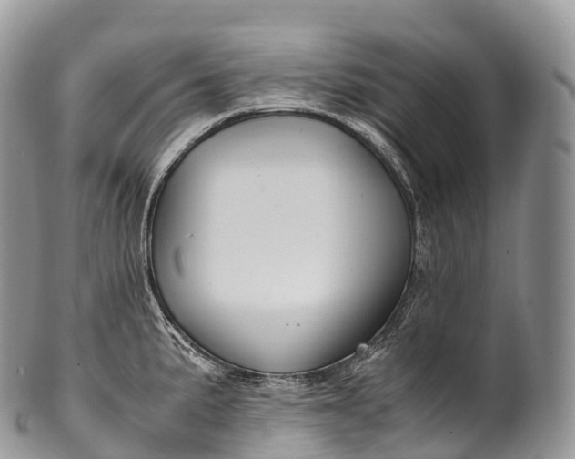 X0000100381191200806201643