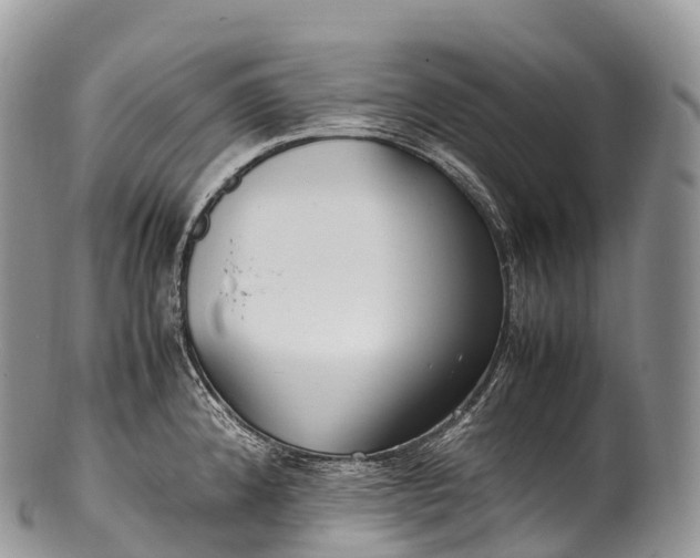 X0000100381192200806201643