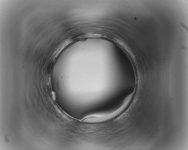 X0000100381193200806201643