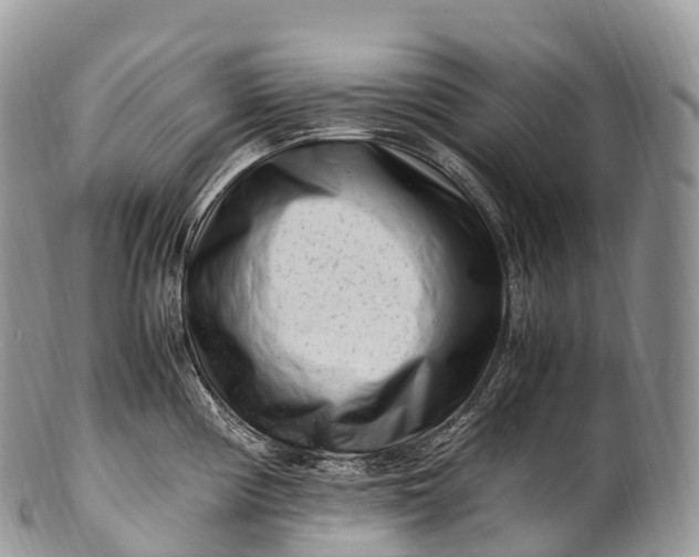 X0000100381194200806201643