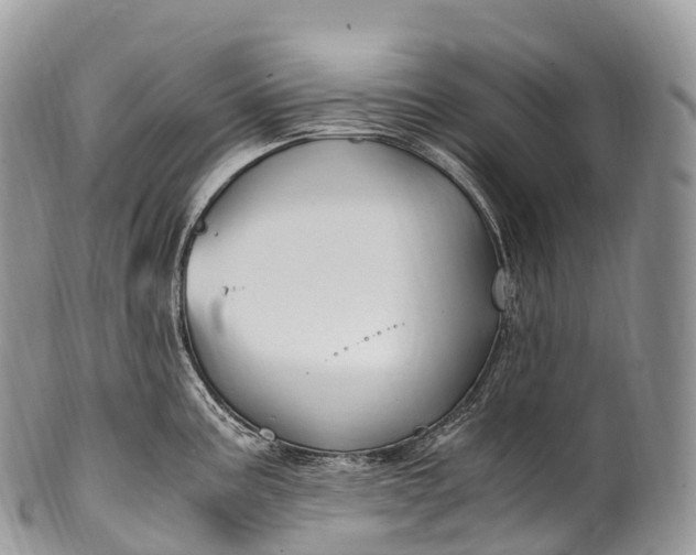 X0000100381195200806201643