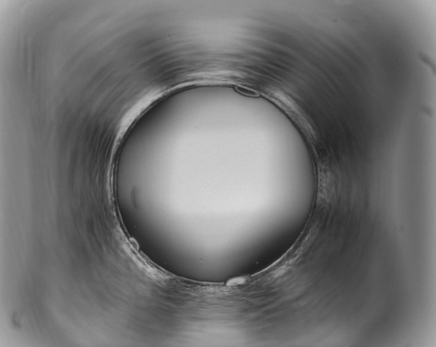 X0000100381196200806201643