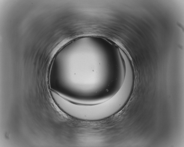 X0000100381197200806201643