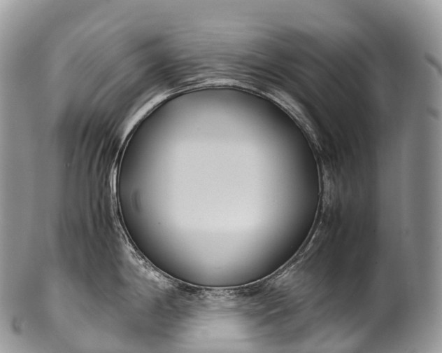X0000100381198200806201643