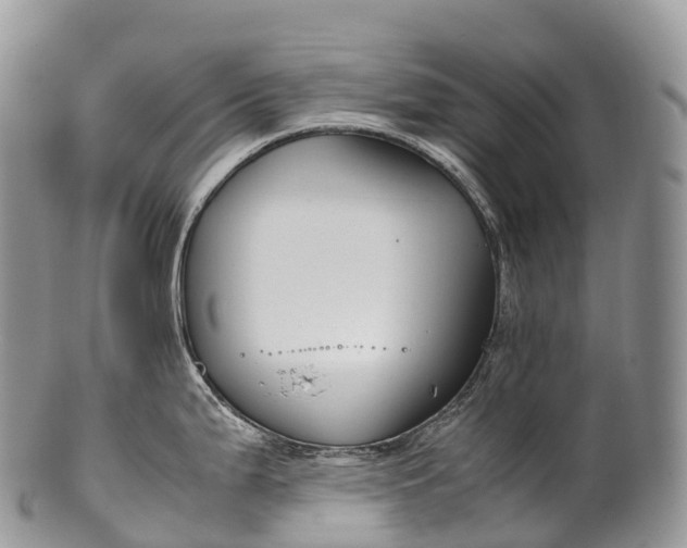 X0000100381199200806201643