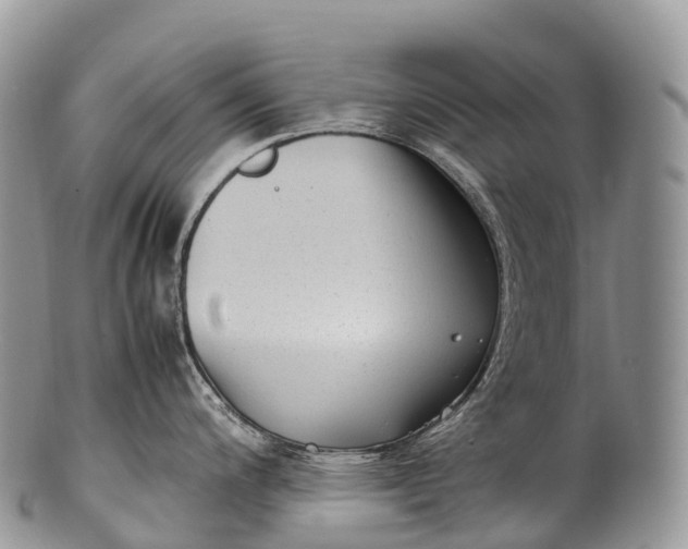 X0000100381200200806201643
