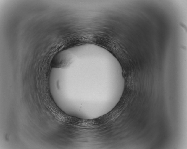 X0000100381201200806201642