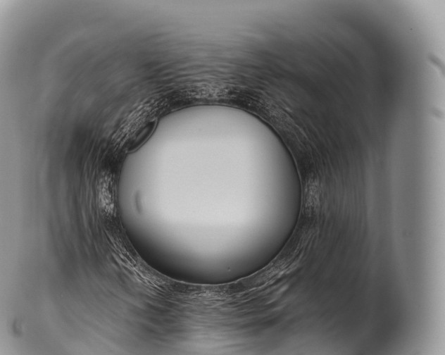 X0000100381202200806201642
