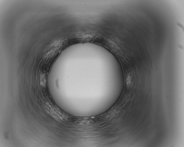 X0000100381204200806201642