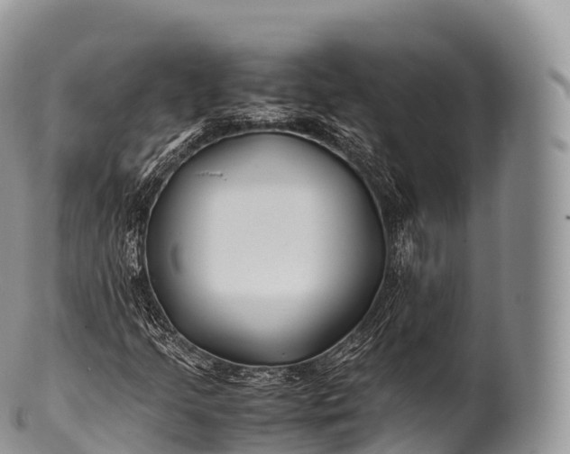 X0000100381205200806201643