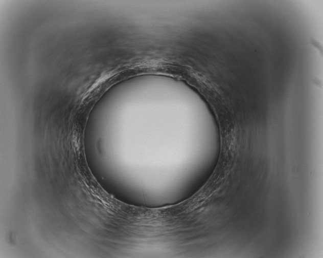 X0000100381206200806201643