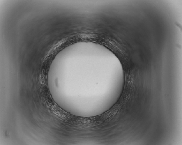 X0000100381207200806201643