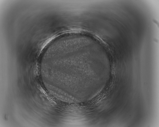 X0000100381208200806201643