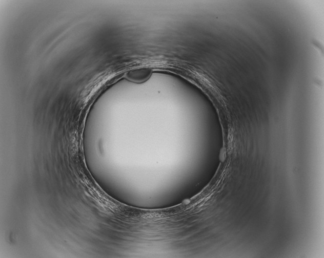 X0000100381212200806201643