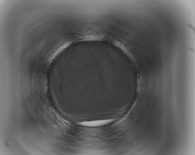 X0000100381213200806201643