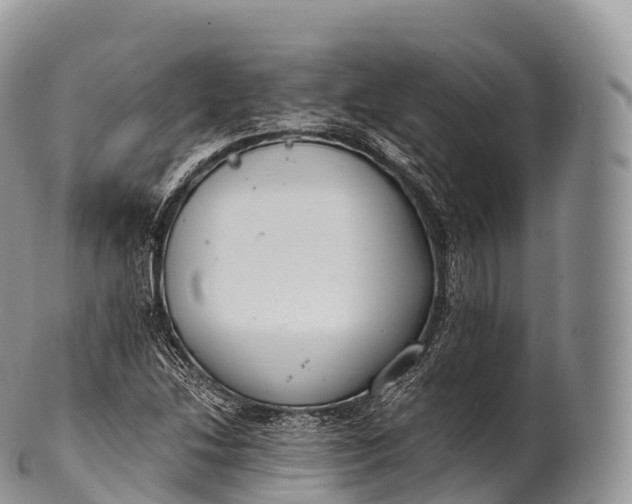 X0000100381214200806201643