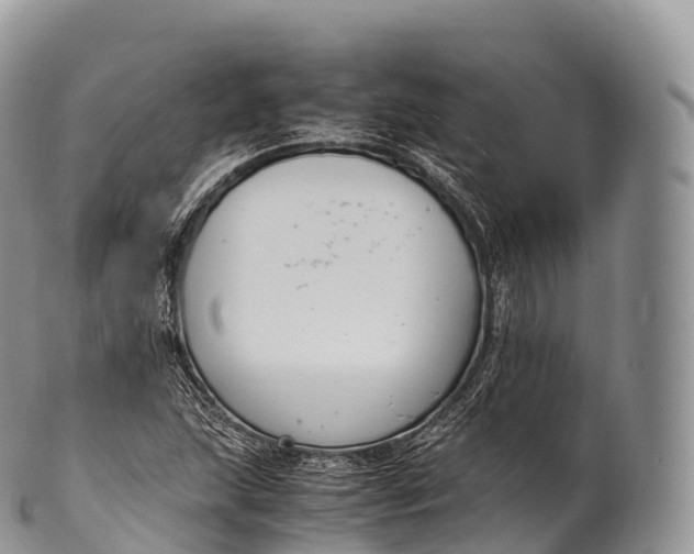 X0000100381215200806201643