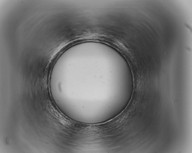 X0000100381216200806201643