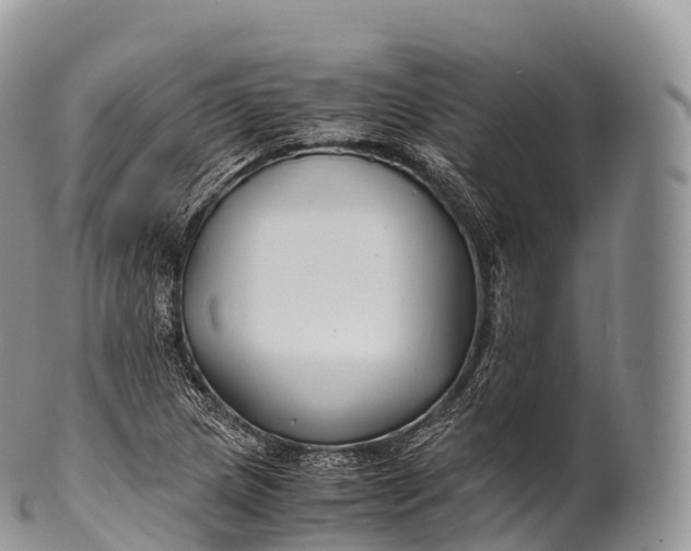 X0000100381217200806201643
