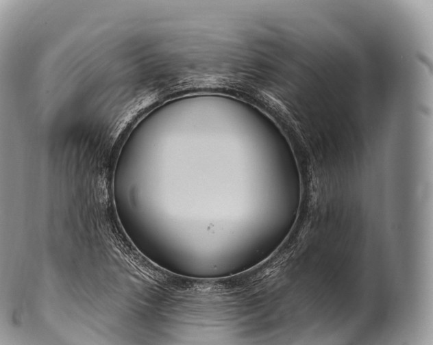 X0000100381218200806201643