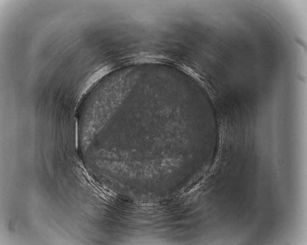 X0000100381219200806201643