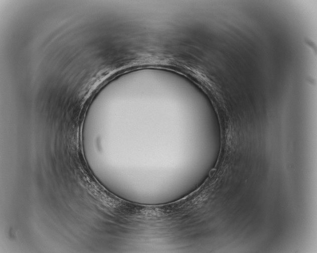 X0000100381220200806201643