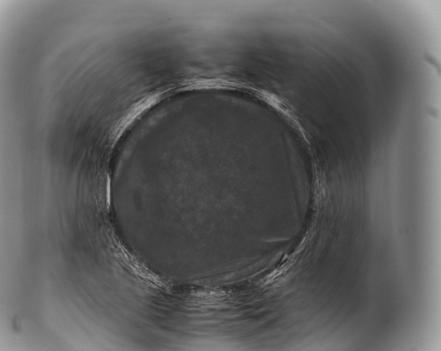 X0000100381221200806201643