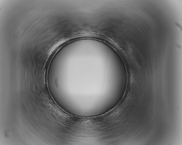 X0000100381222200806201643