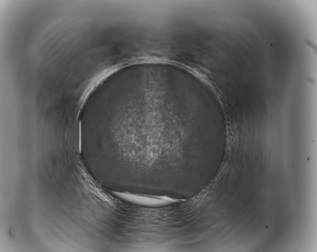 X0000100381223200806201643
