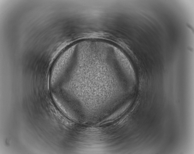 X0000100381224200806201643