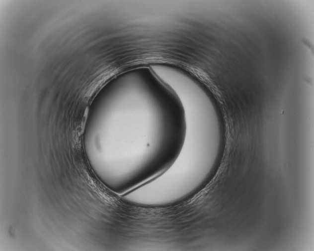 X0000100381225200806201643