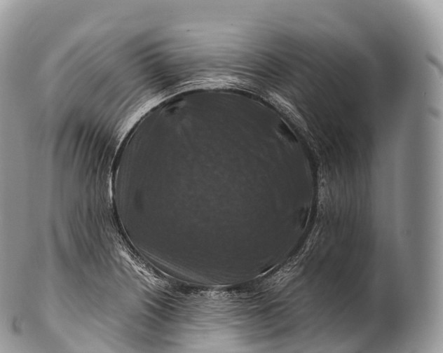 X0000100381226200806201643