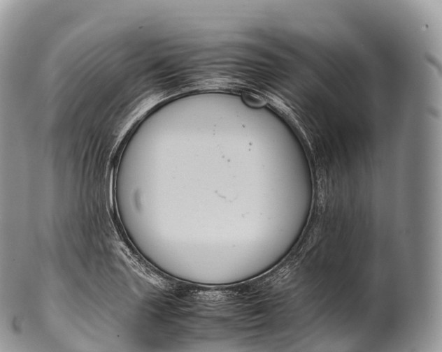 X0000100381227200806201643