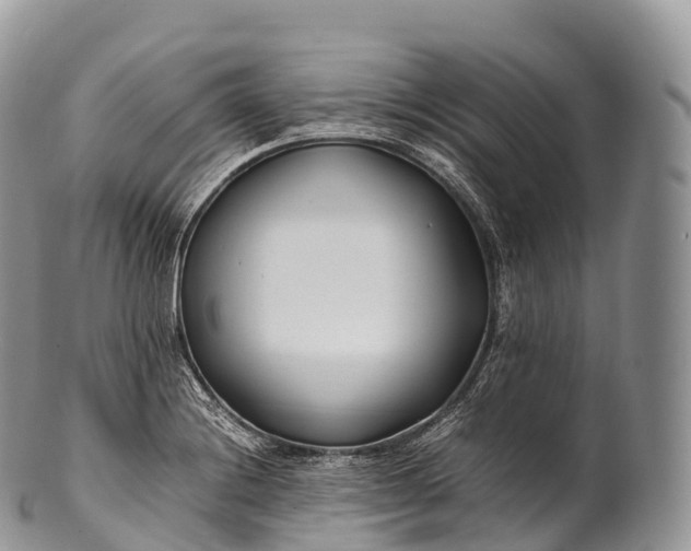 X0000100381228200806201643