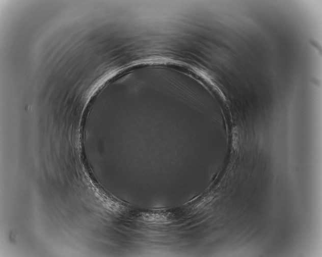 X0000100381229200806201643