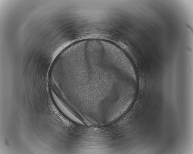 X0000100381230200806201643