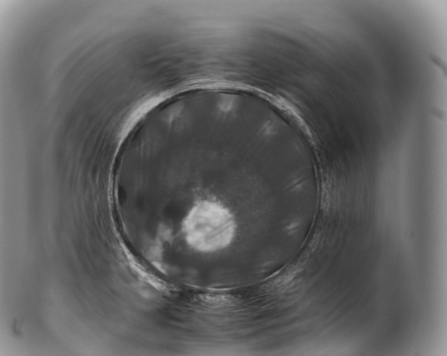 X0000100381231200806201643