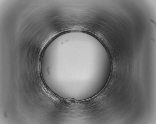 X0000100381232200806201643
