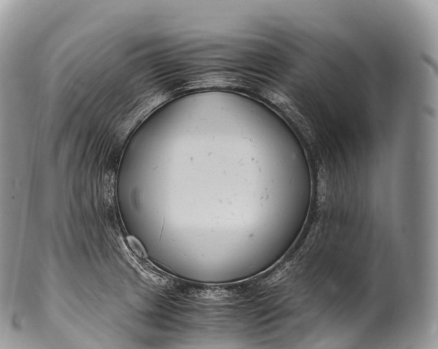 X0000100381233200806201643
