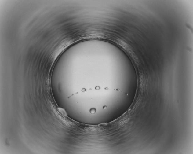 X0000100381234200806201643