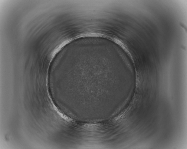 X0000100381237200806201643