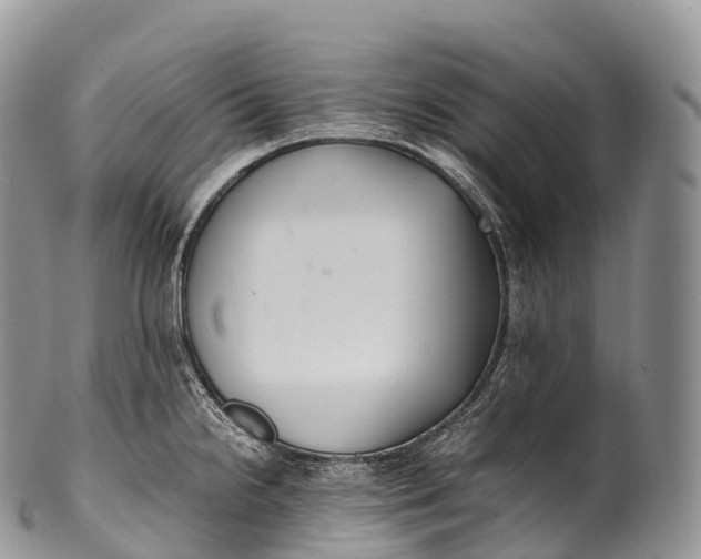X0000100381238200806201643