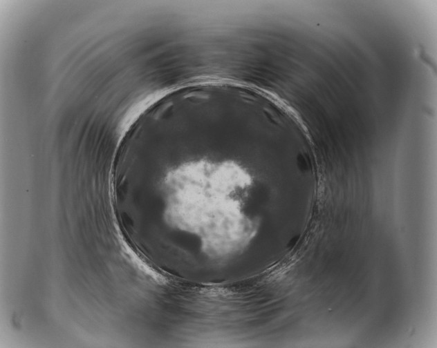 X0000100381239200806201643