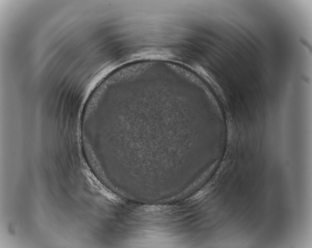X0000100381240200806201643
