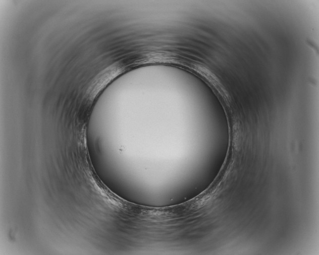 X0000100381241200806201643